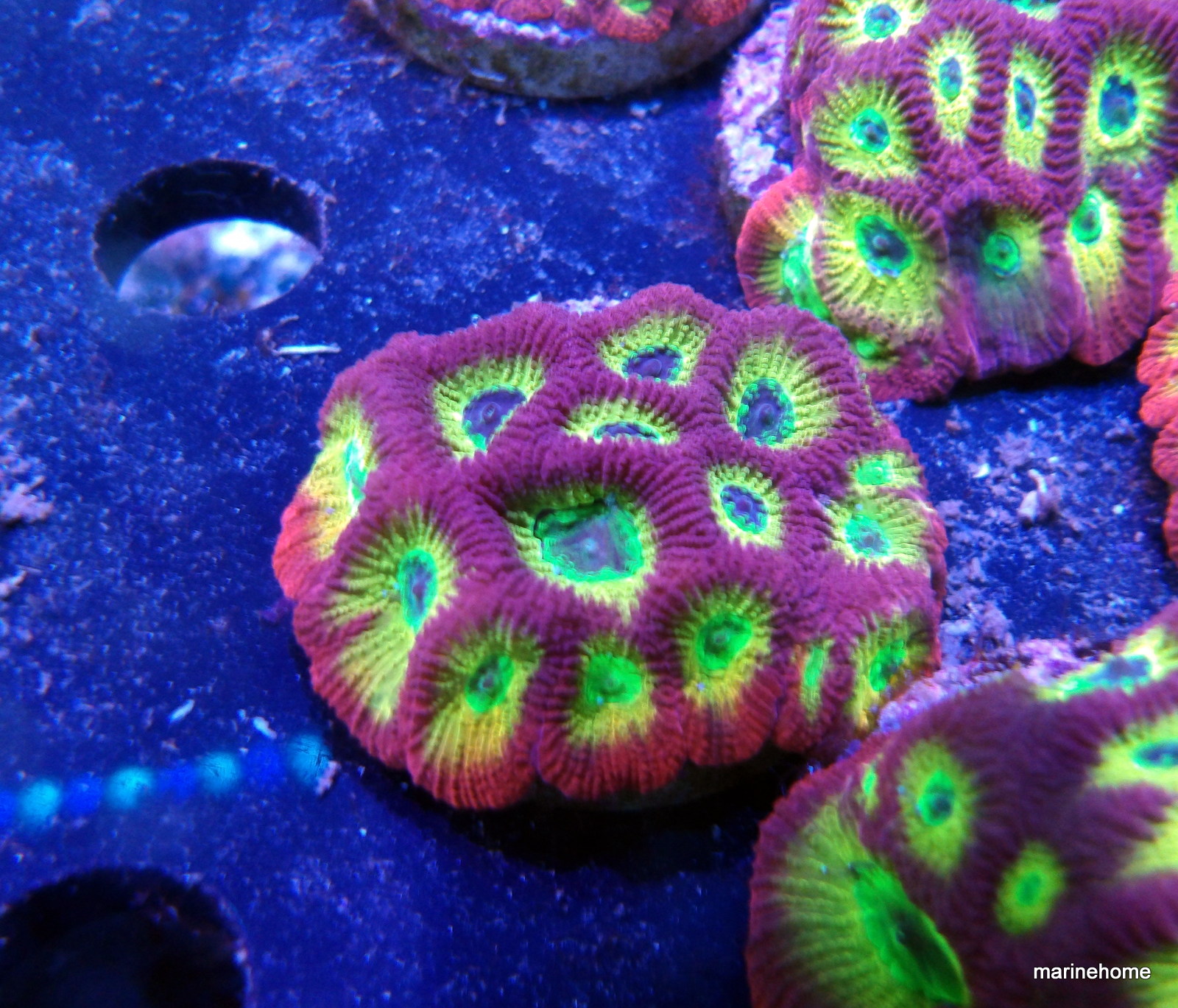 KODAK Digital Still Camera