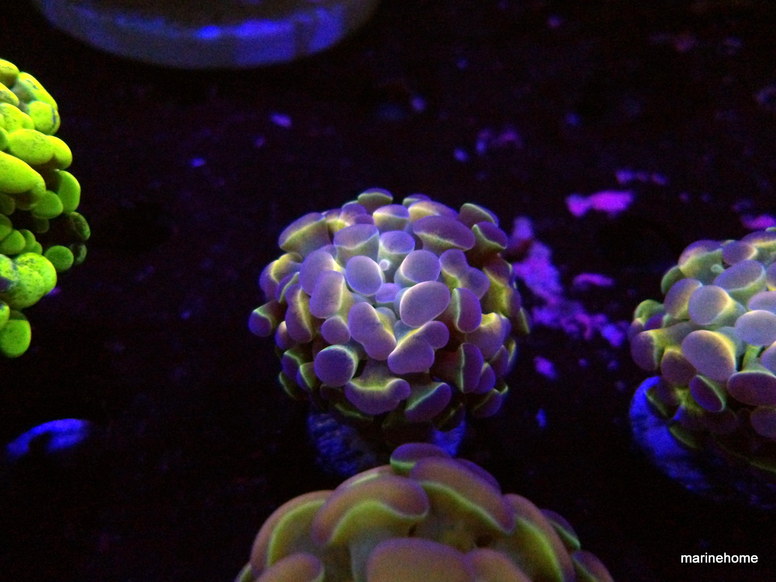 KODAK Digital Still Camera