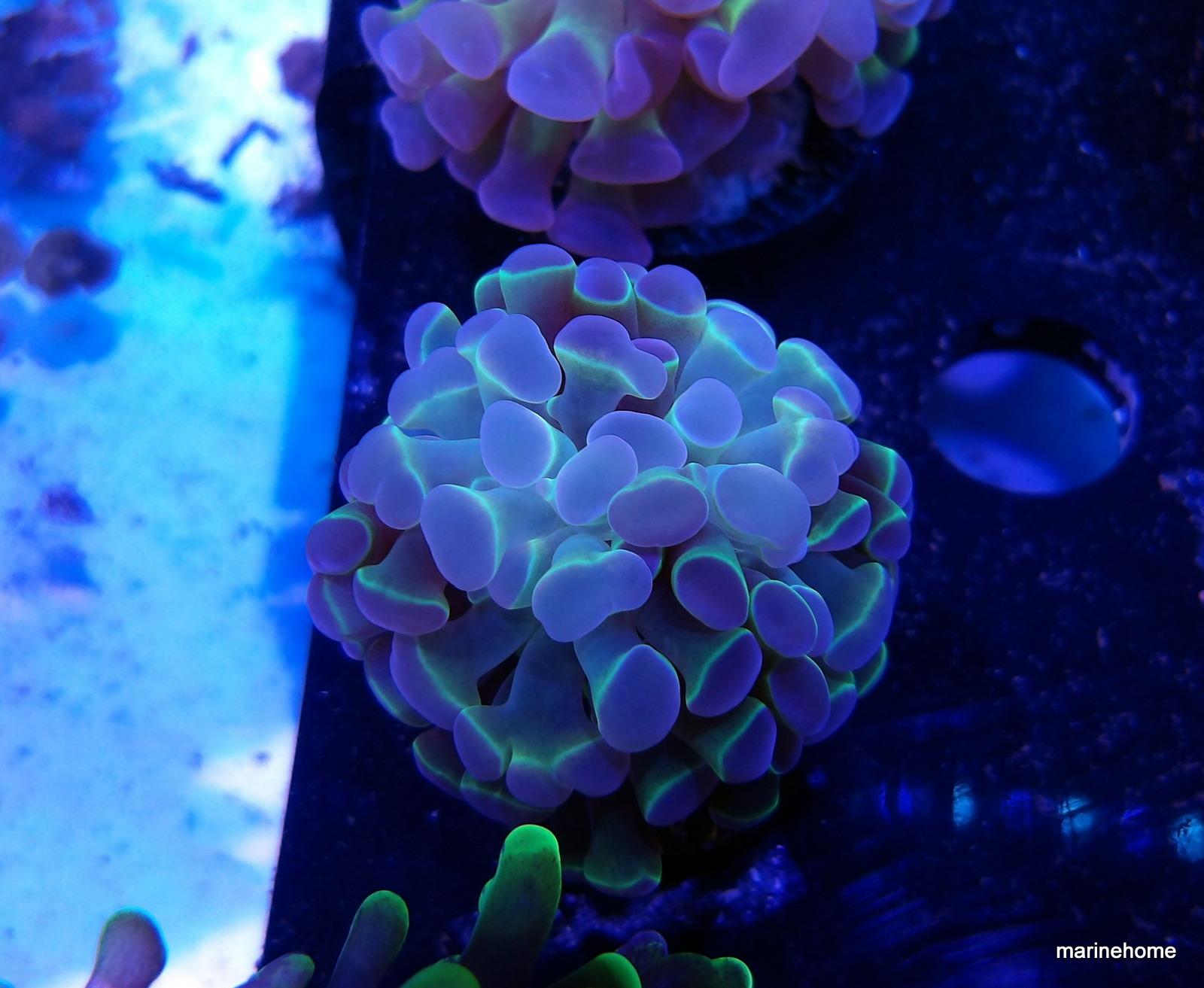 KODAK Digital Still Camera