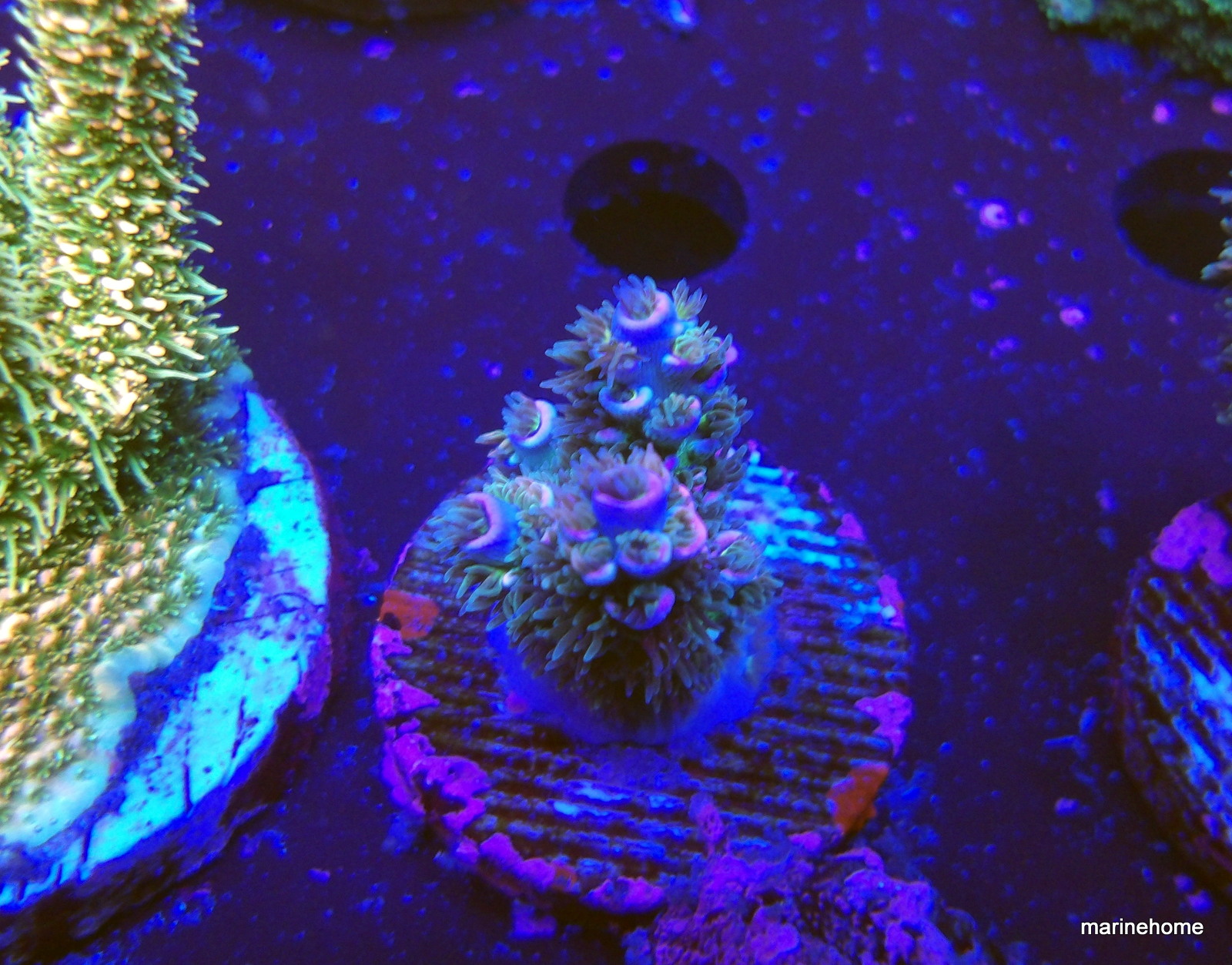 KODAK Digital Still Camera