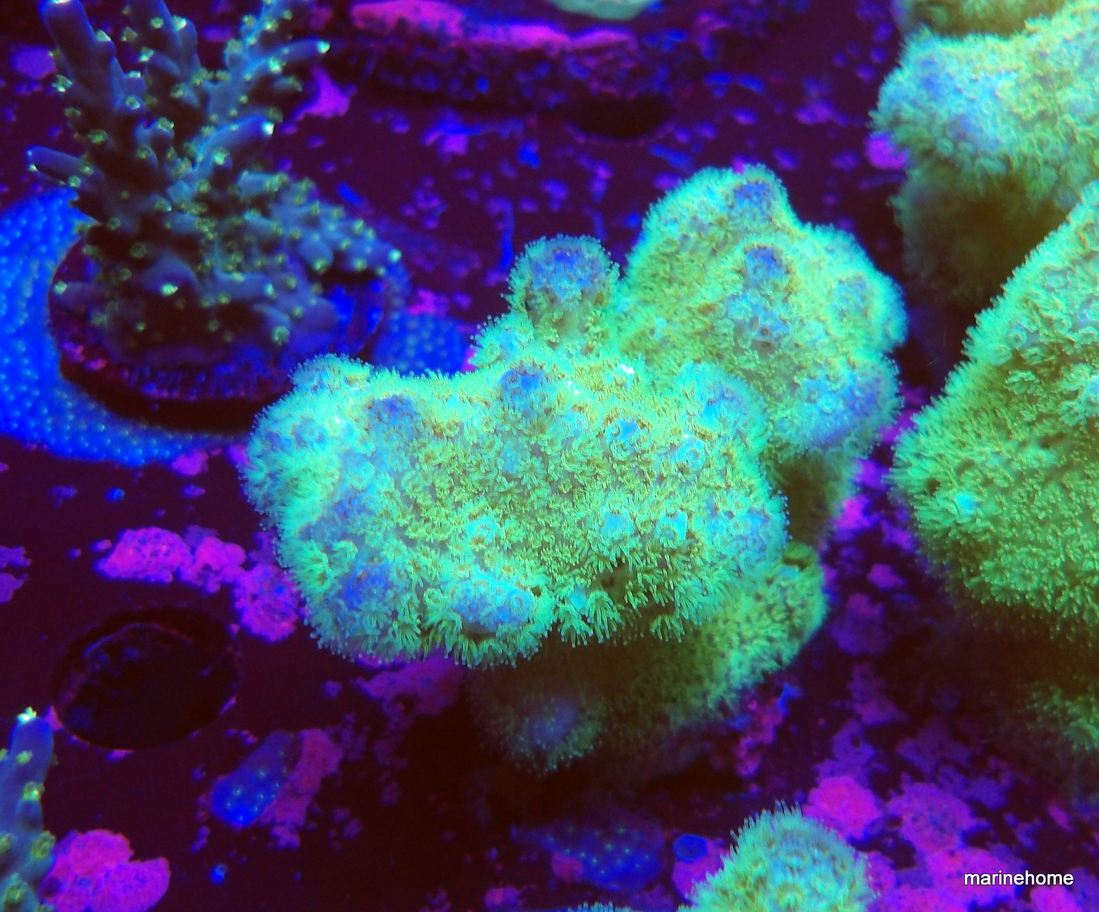 KODAK Digital Still Camera