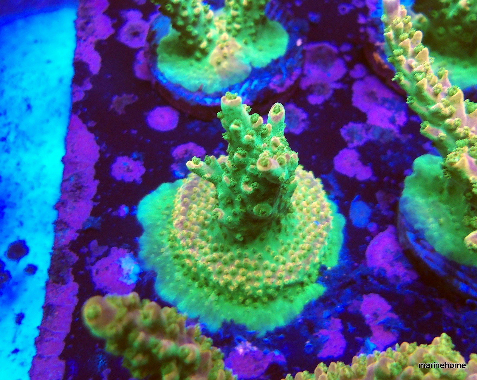 KODAK Digital Still Camera