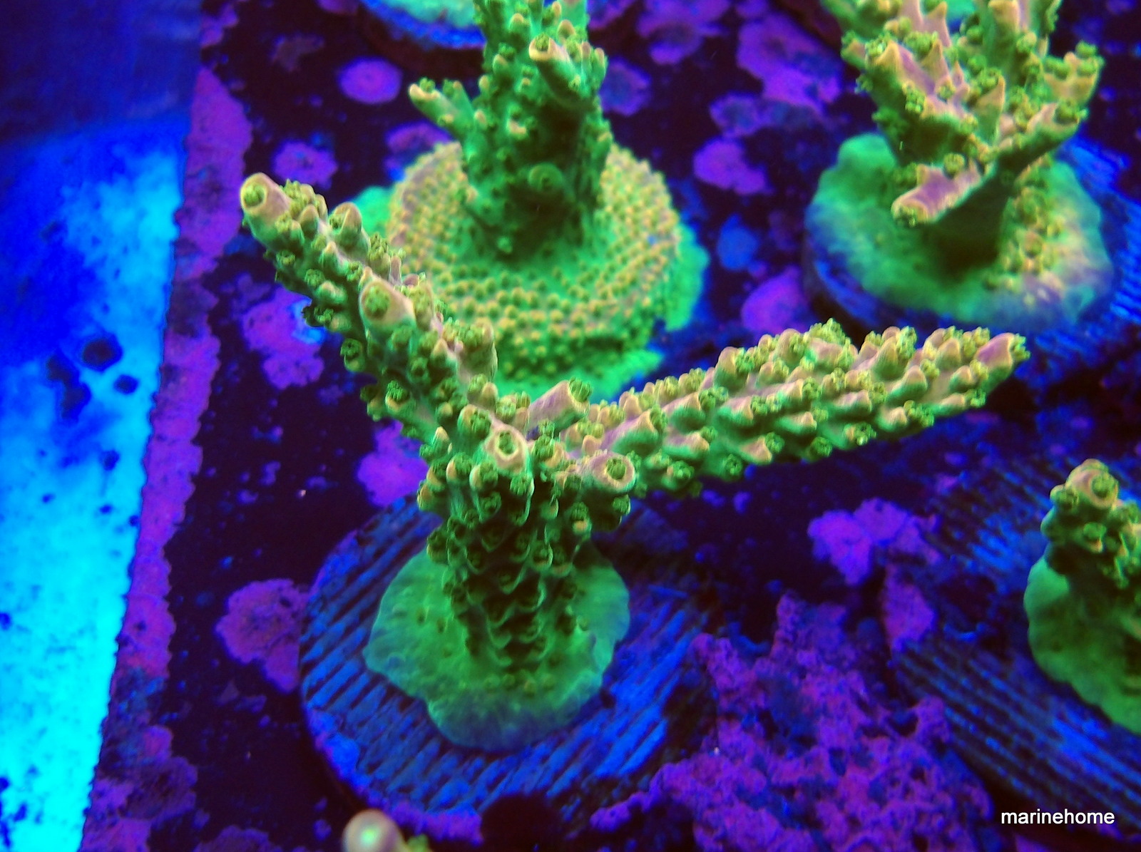 KODAK Digital Still Camera