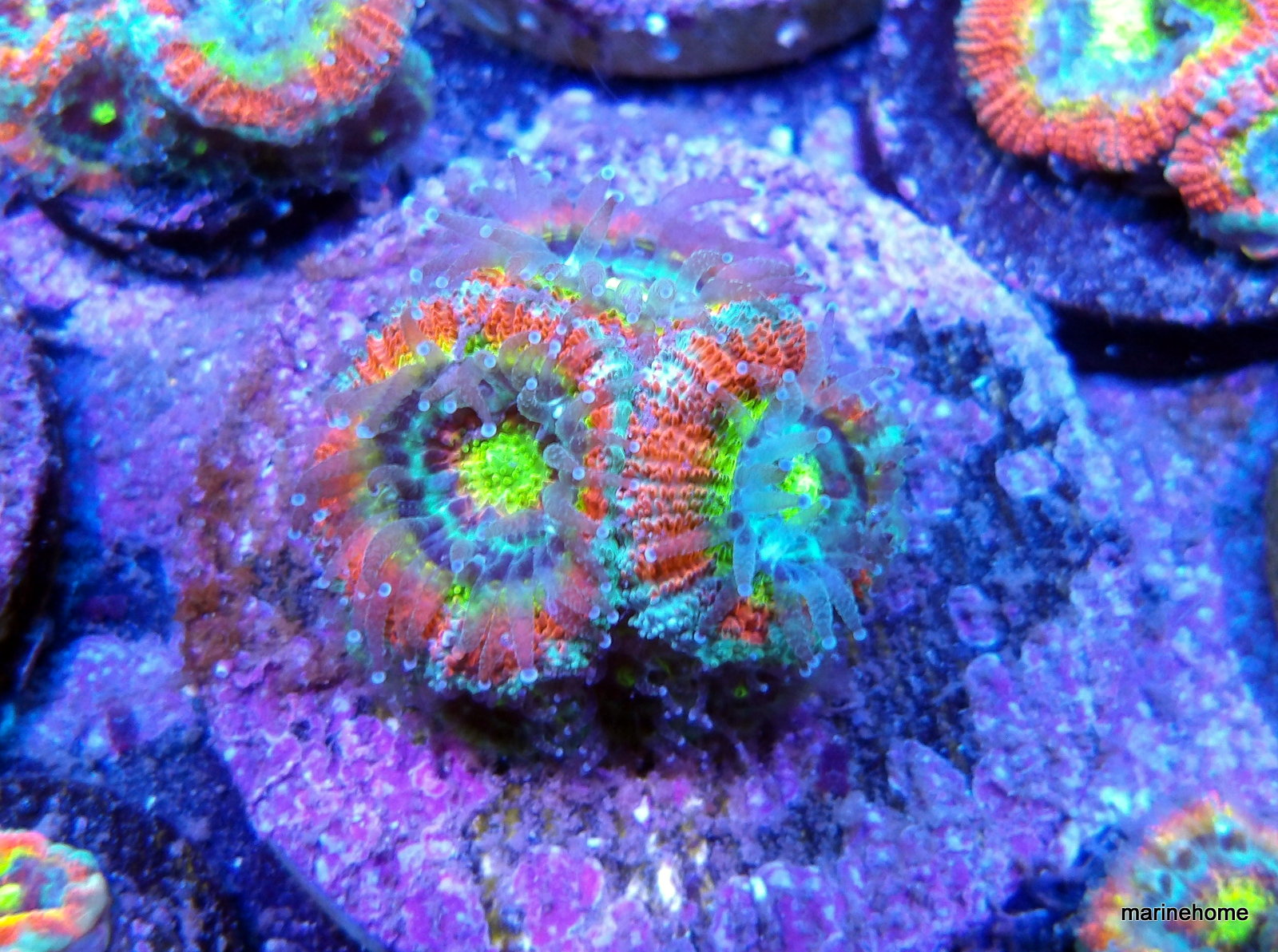 KODAK Digital Still Camera