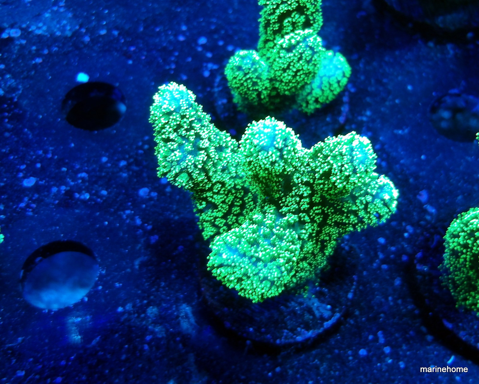 KODAK Digital Still Camera