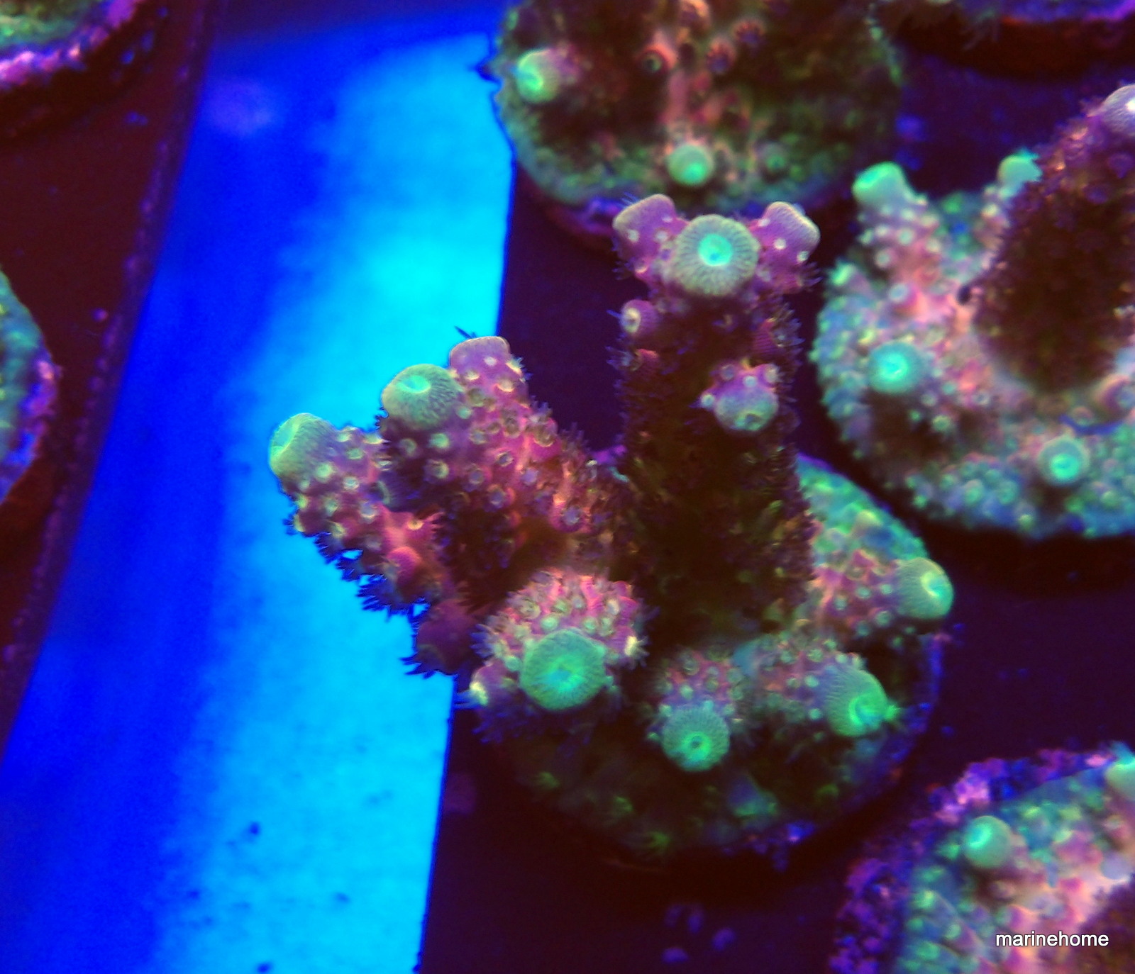 KODAK Digital Still Camera