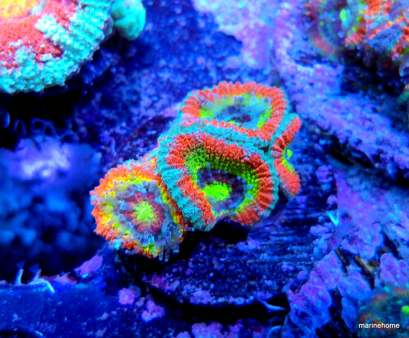 KODAK Digital Still Camera