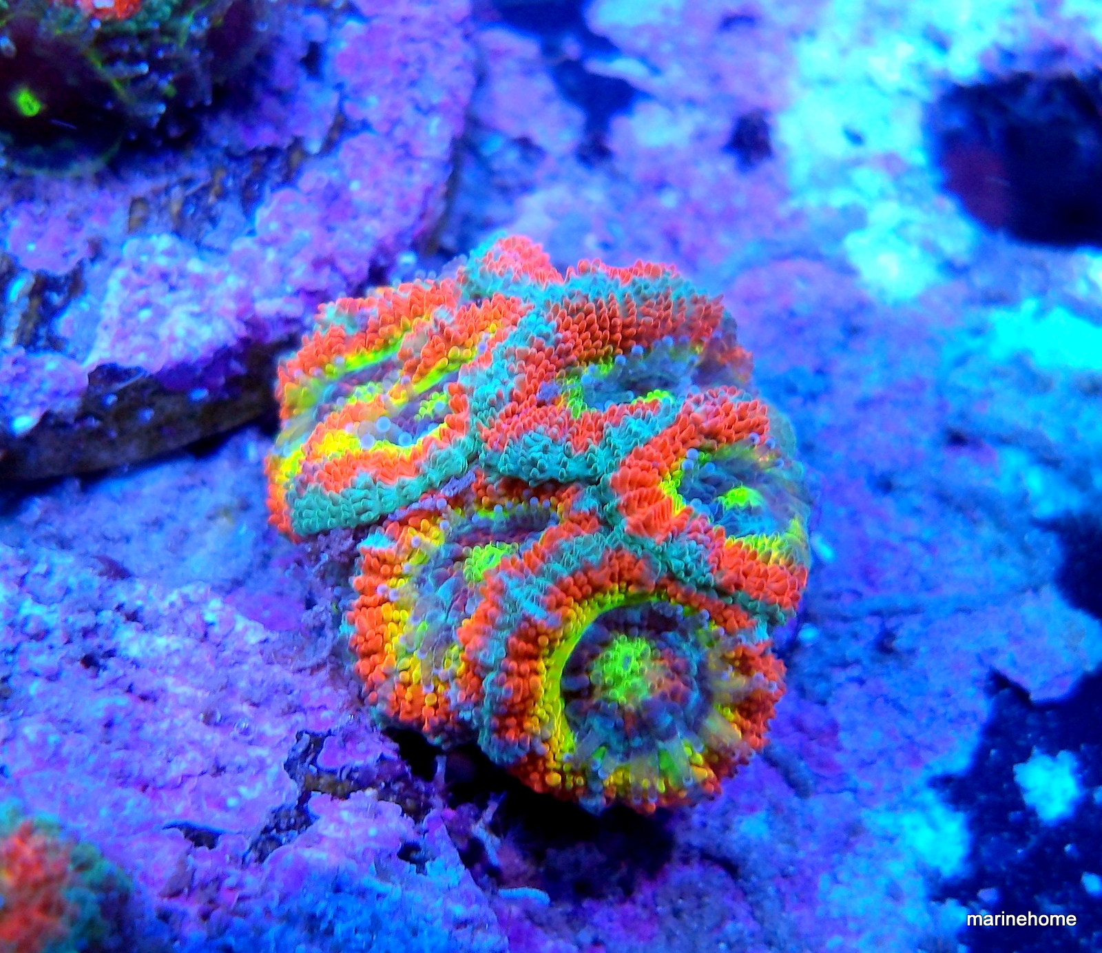 KODAK Digital Still Camera