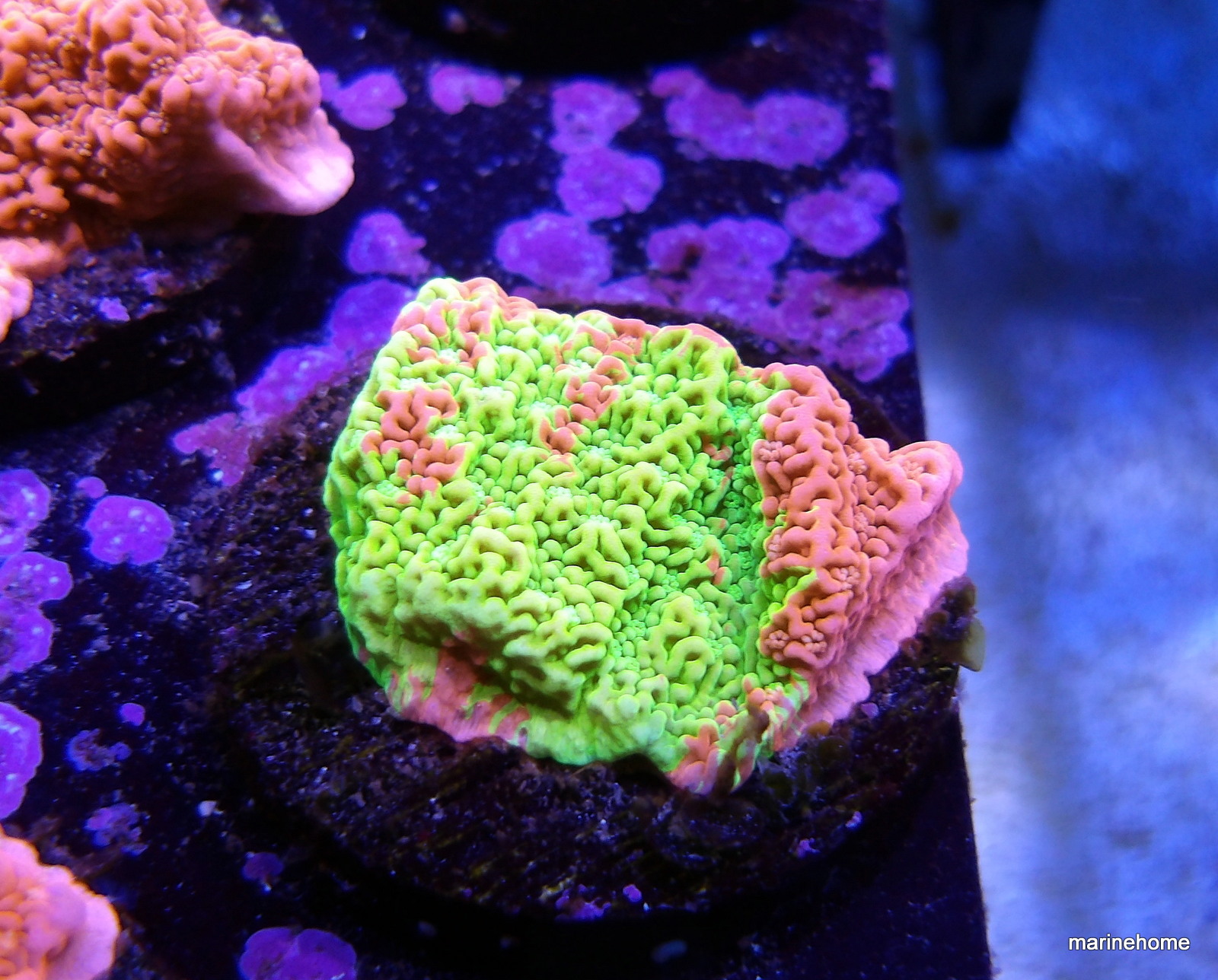 KODAK Digital Still Camera