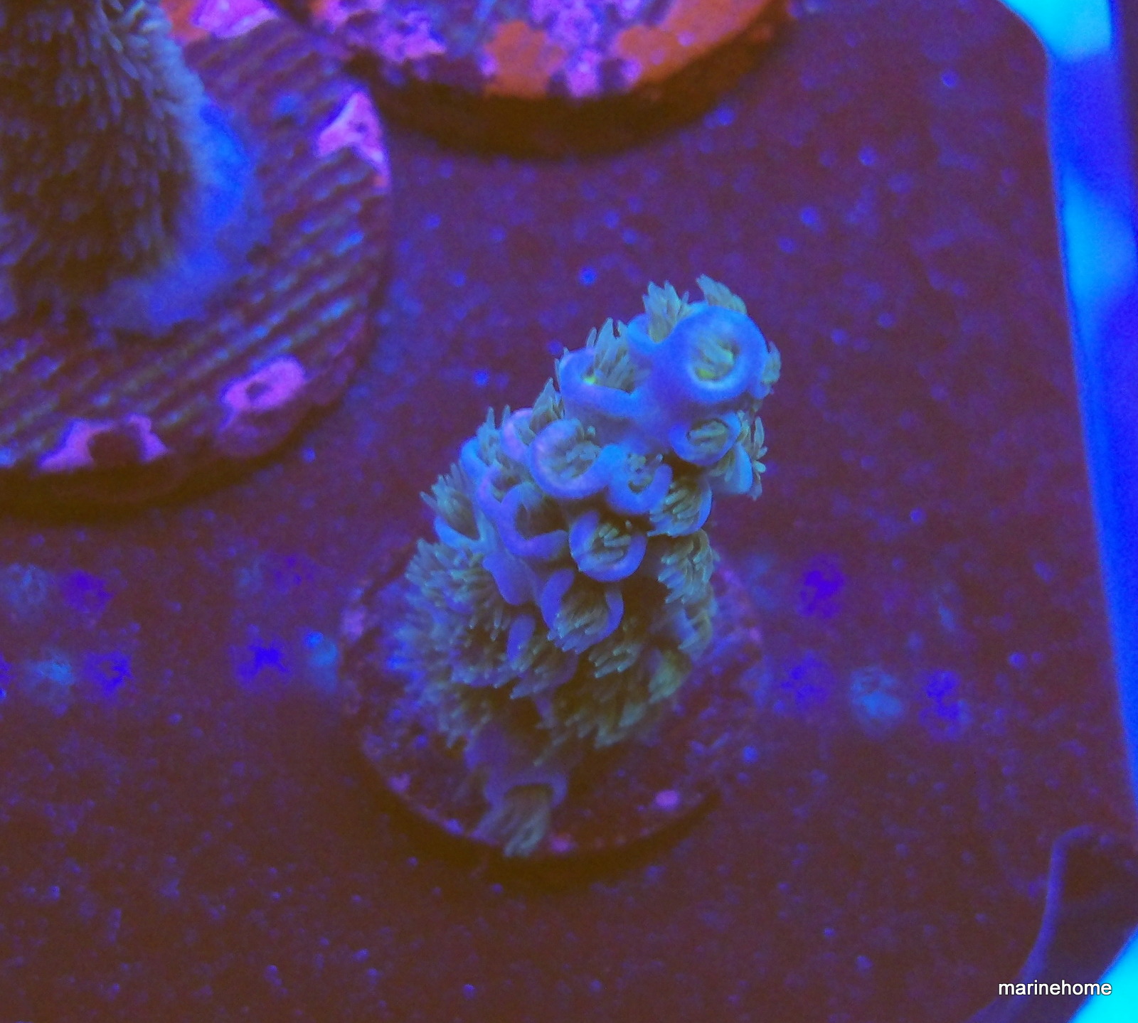 KODAK Digital Still Camera