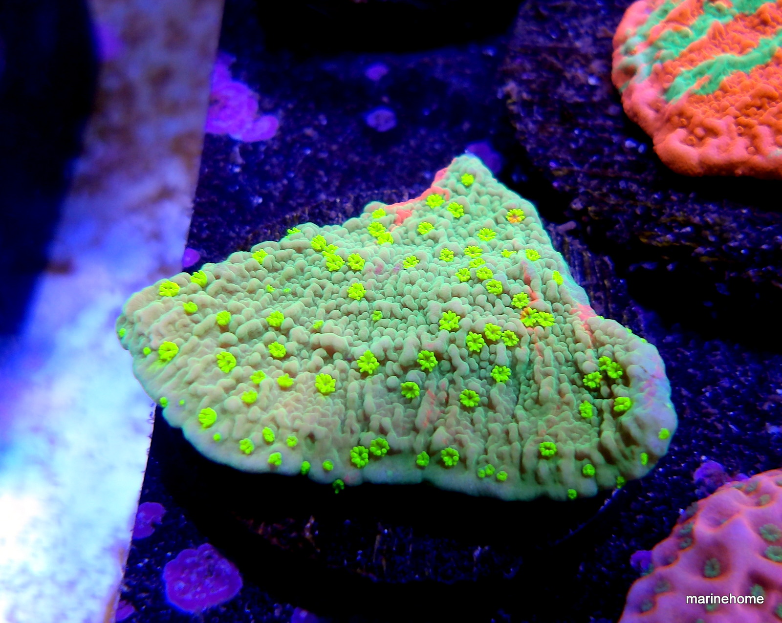 KODAK Digital Still Camera