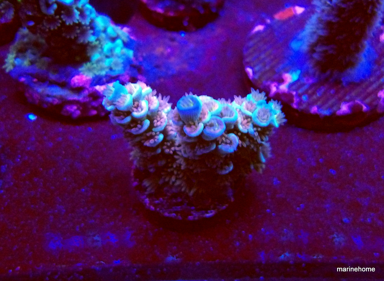 KODAK Digital Still Camera