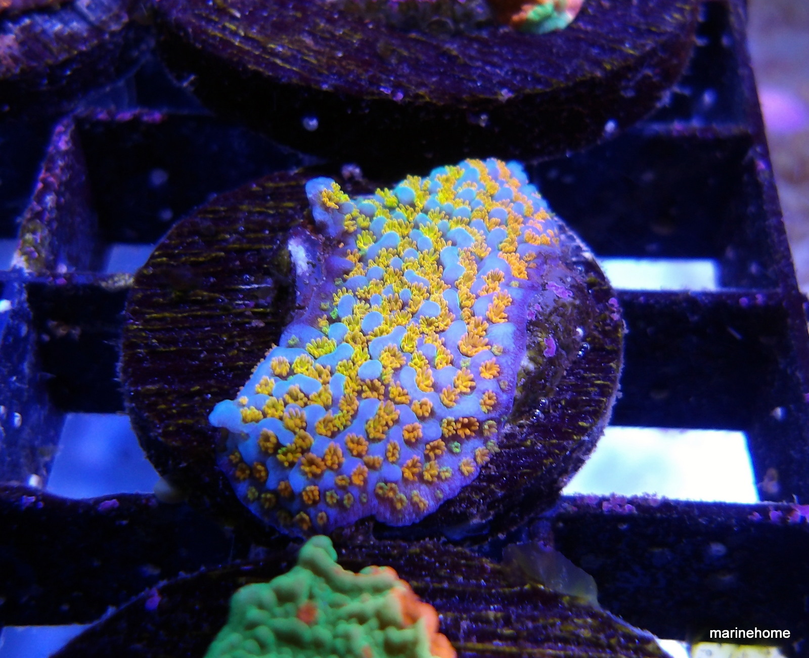 KODAK Digital Still Camera