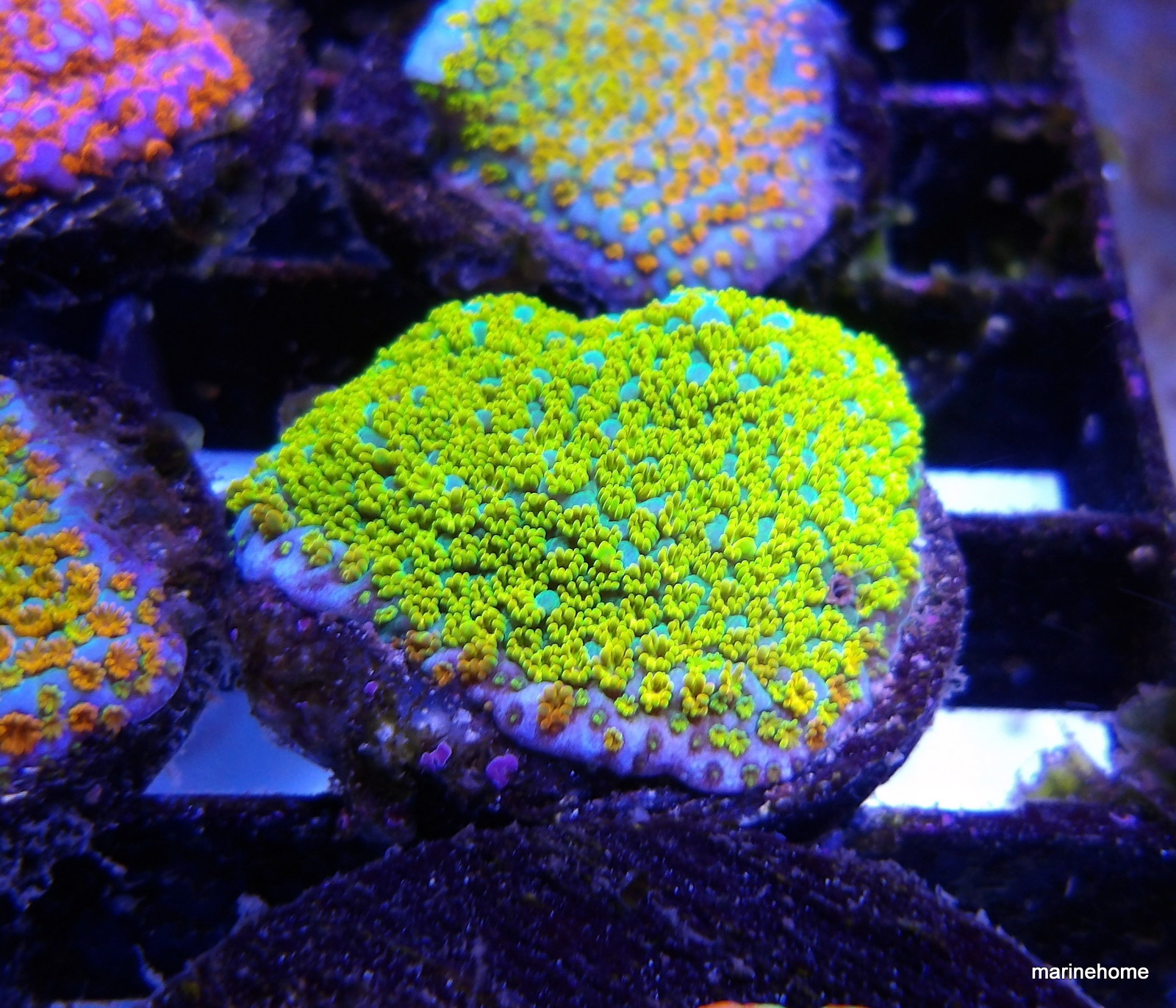 KODAK Digital Still Camera