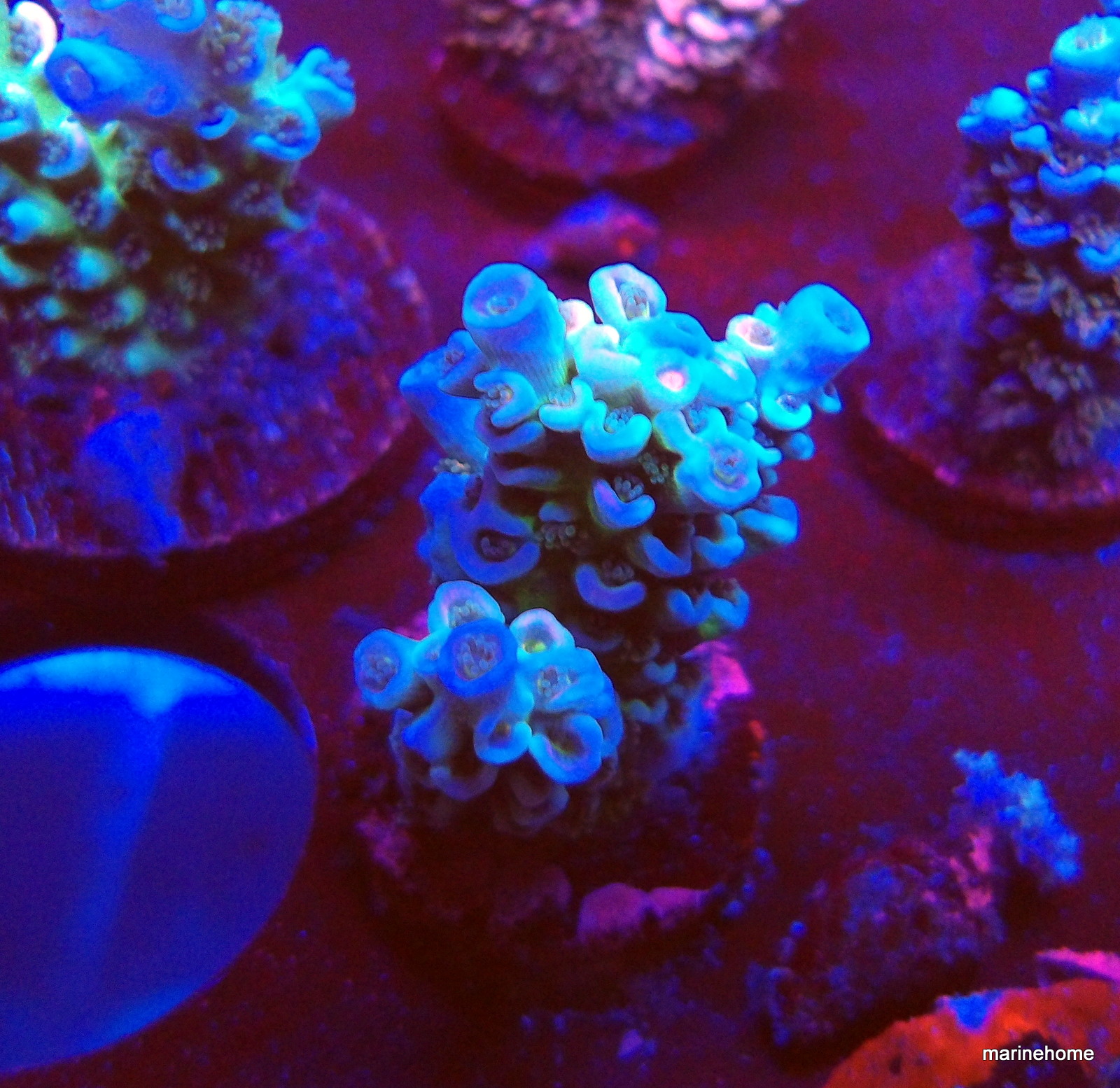 KODAK Digital Still Camera