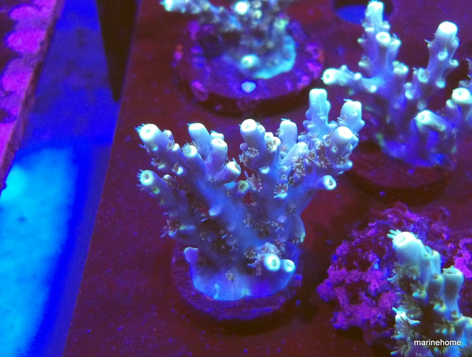 KODAK Digital Still Camera