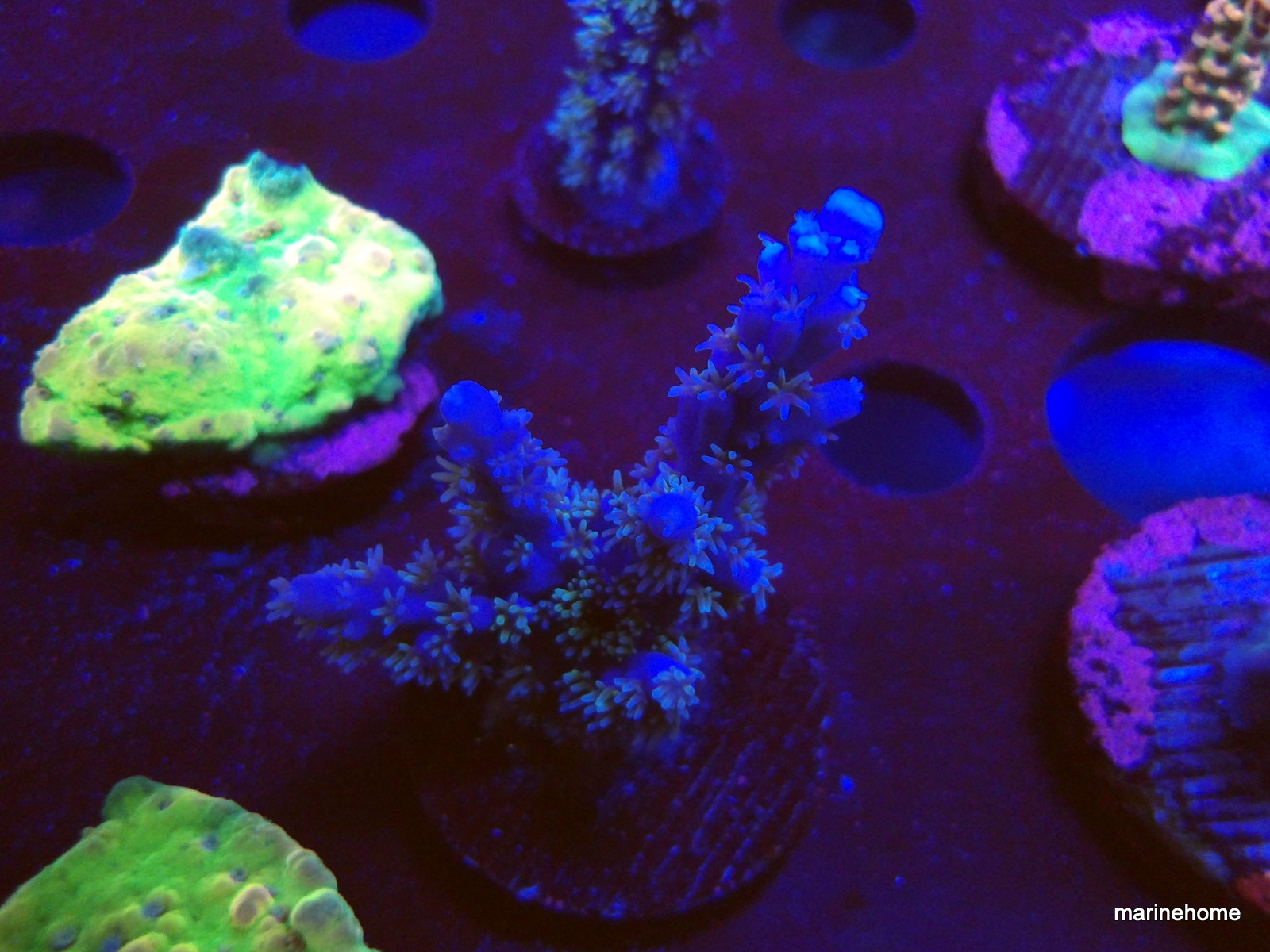 KODAK Digital Still Camera