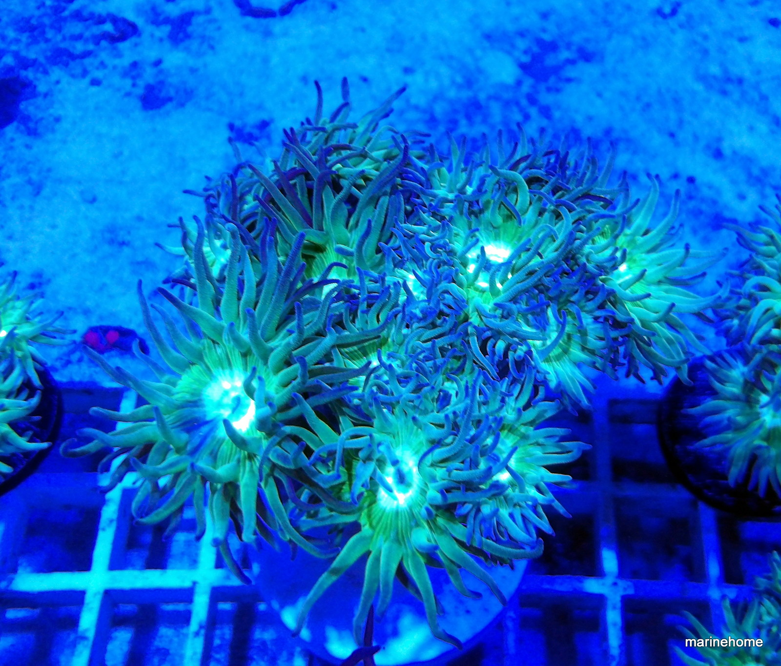 KODAK Digital Still Camera