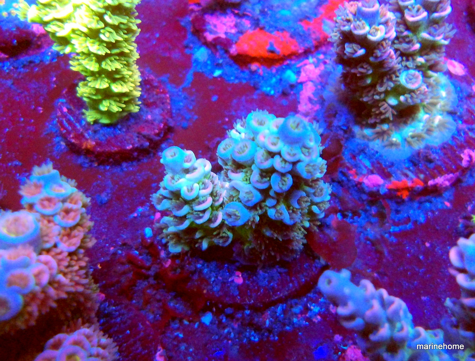 KODAK Digital Still Camera